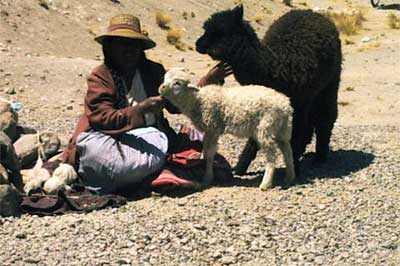 Arequipa.